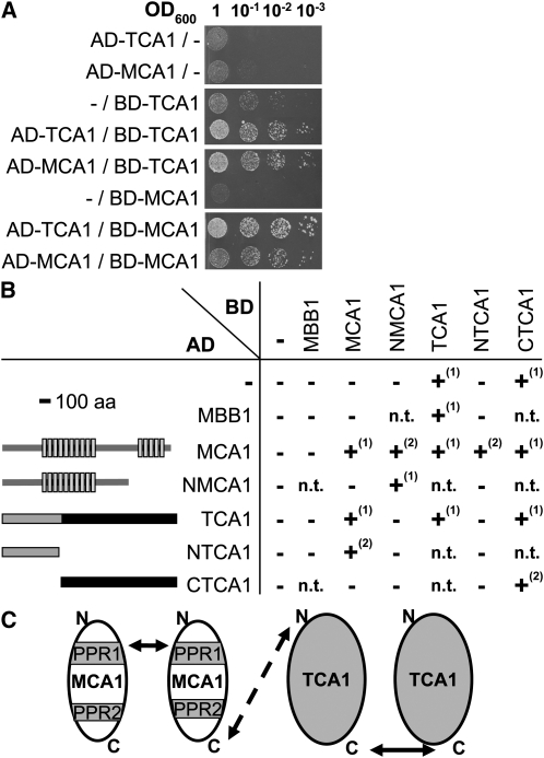 Figure 2.