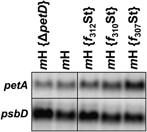 Figure 9.