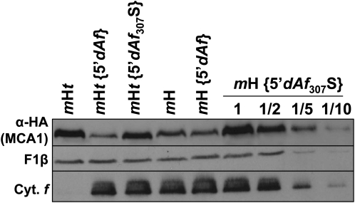 Figure 10.