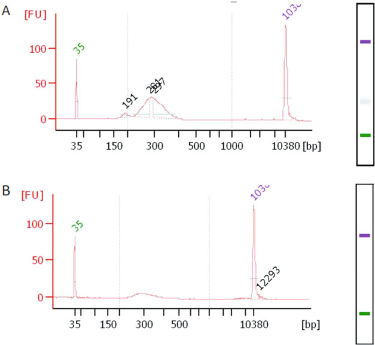 Fig. 8