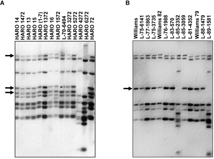 Figure 1.—