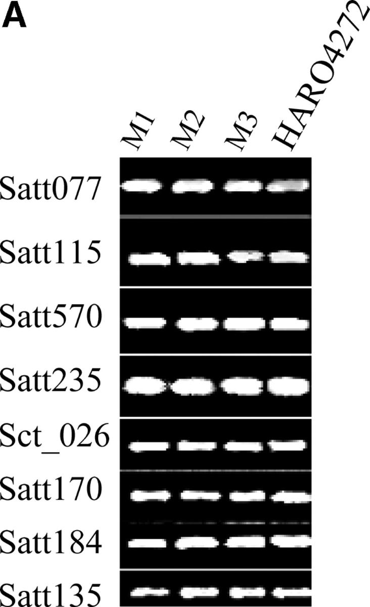 Figure 5.—