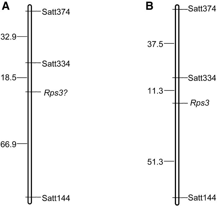 Figure 7.—