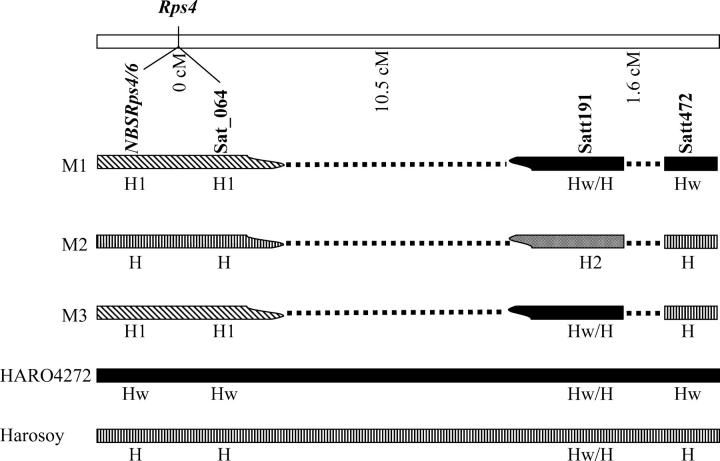 Figure 6.—