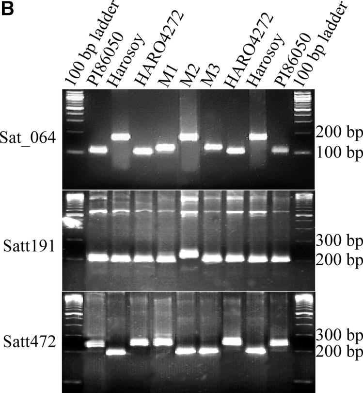 Figure 5.—