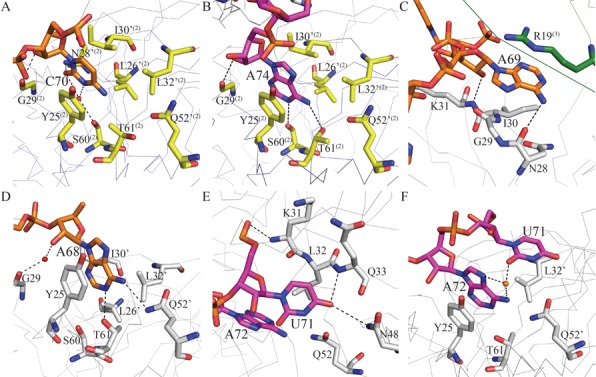 Figure 4.