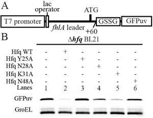 Figure 7.