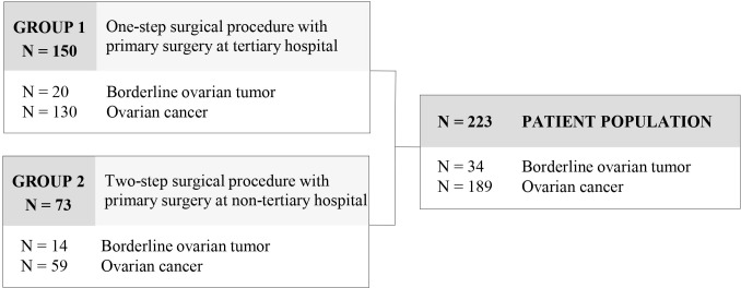 Figure 1