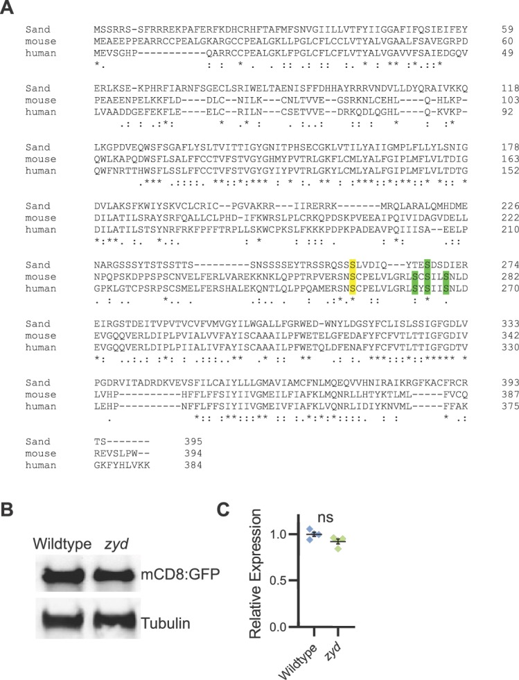 Figure 6—figure supplement 1.