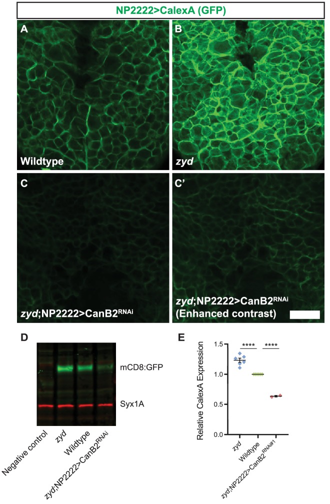 Figure 3.