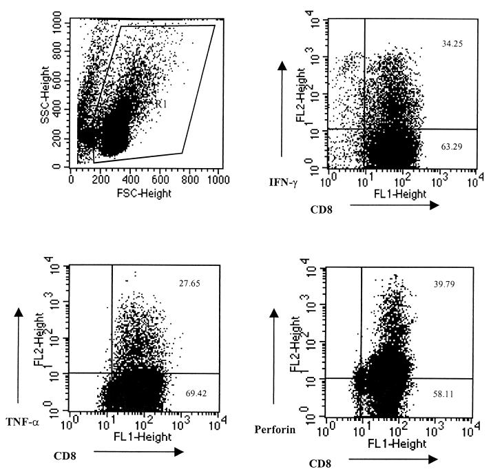 FIG. 1