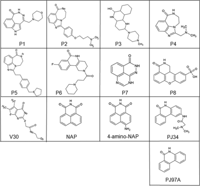 FIG. 1.