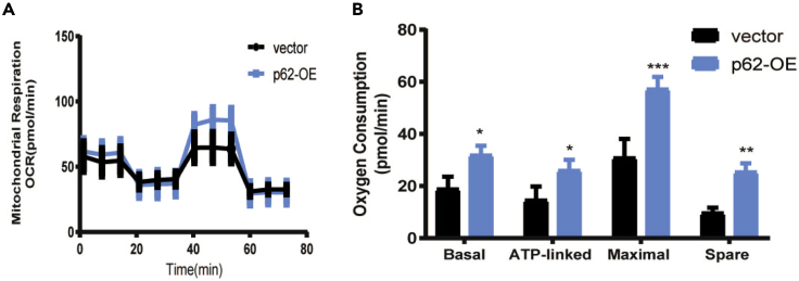 Figure 7