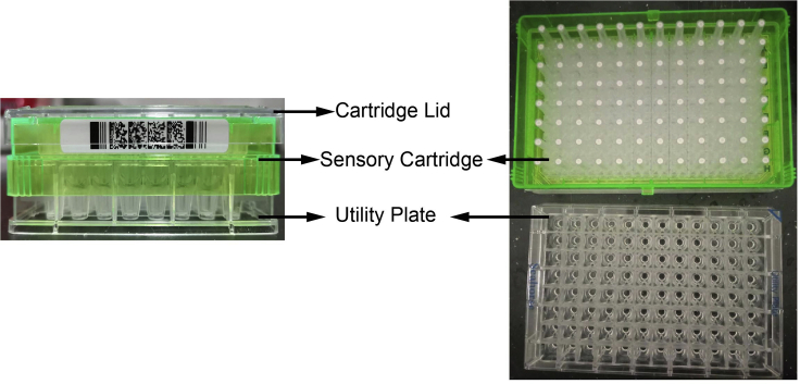 Figure 4