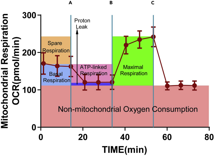 Figure 6