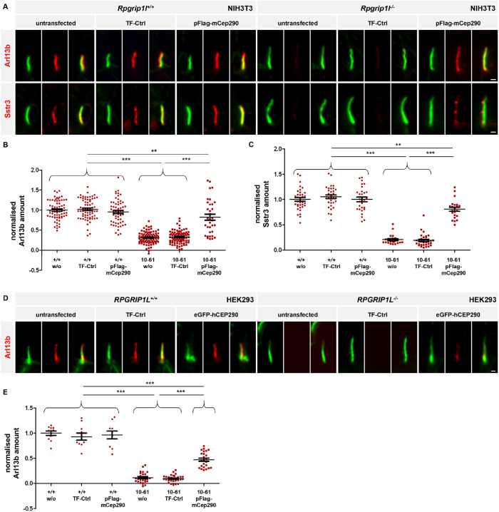 FIGURE 3: