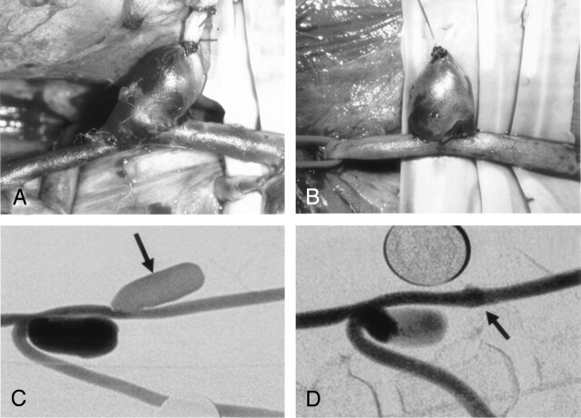 Fig 2.