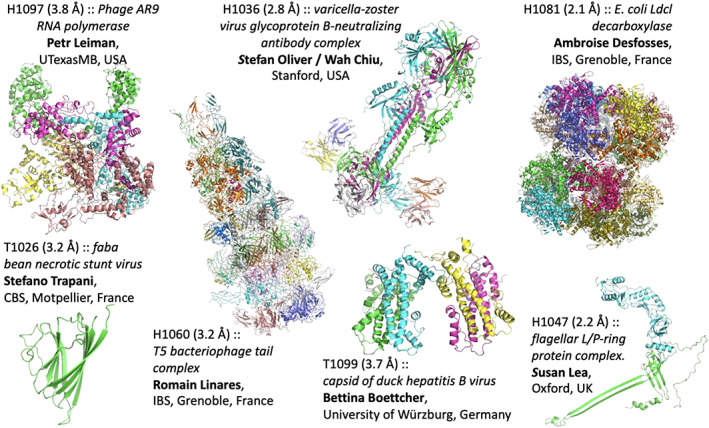 FIGURE 1