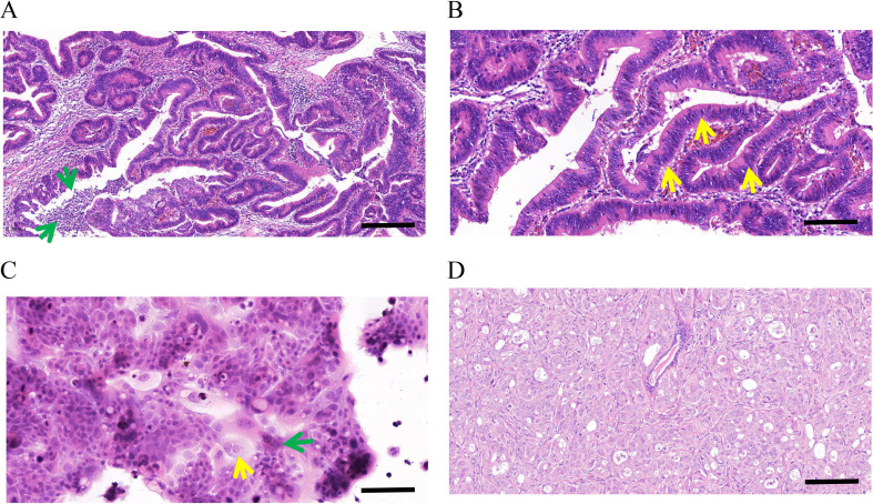 Fig. 6