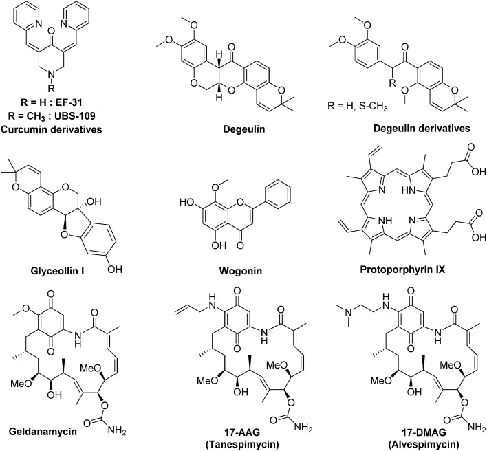 Fig. 13