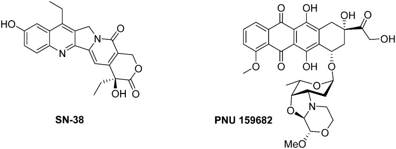 Fig. 31