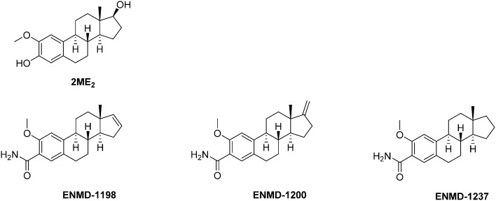 Fig. 10