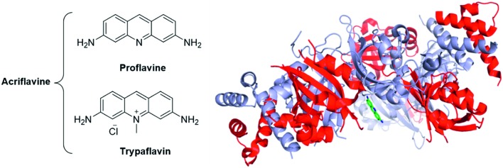 Fig. 20