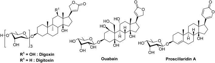 Fig. 11