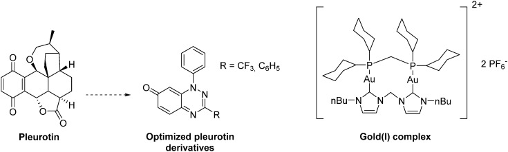 Fig. 19