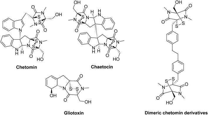 Fig. 24