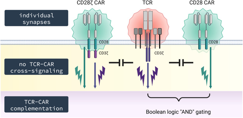 Figure 6