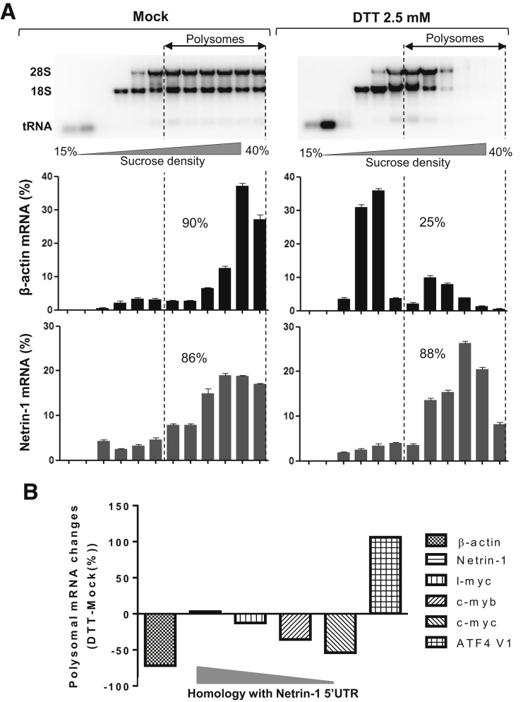 Supplementary Figure 3