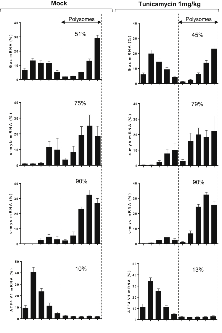 Supplementary Figure 5