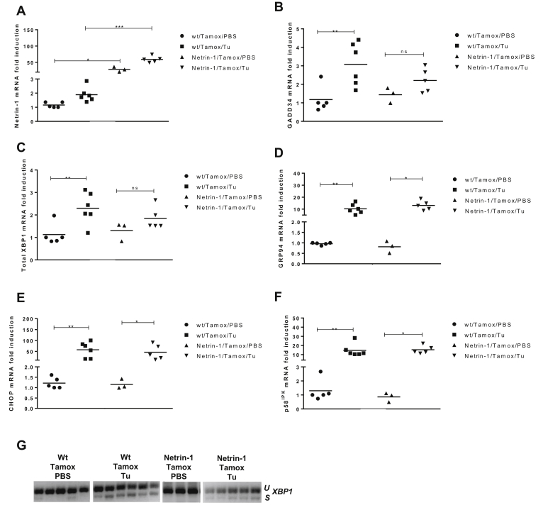 Supplementary Figure 6