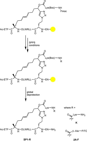 Scheme 2