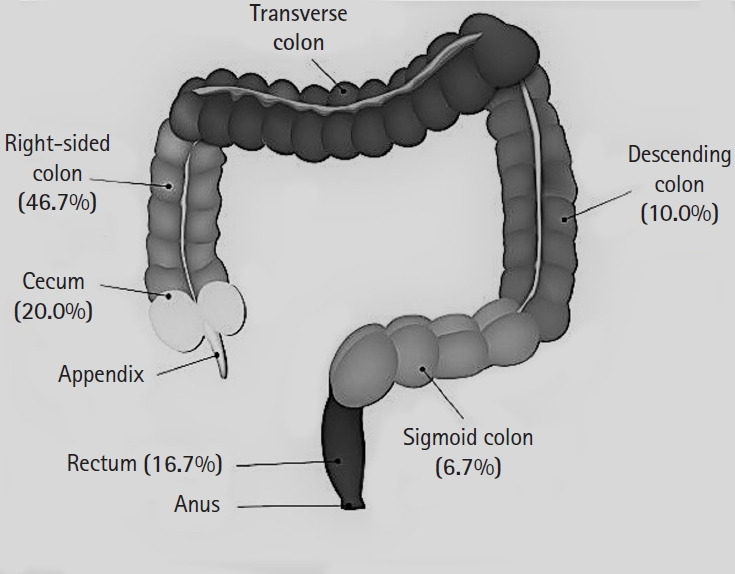 Fig. 2.