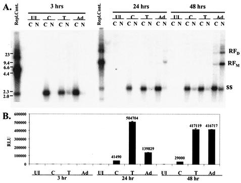 FIG. 5.