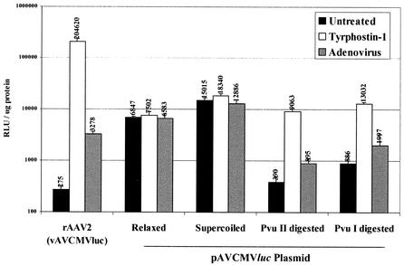 FIG. 7.