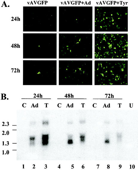 FIG. 6.