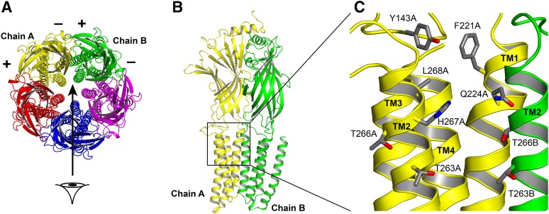 Fig. 1.