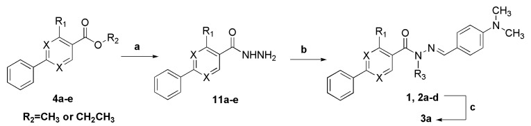 Scheme 5