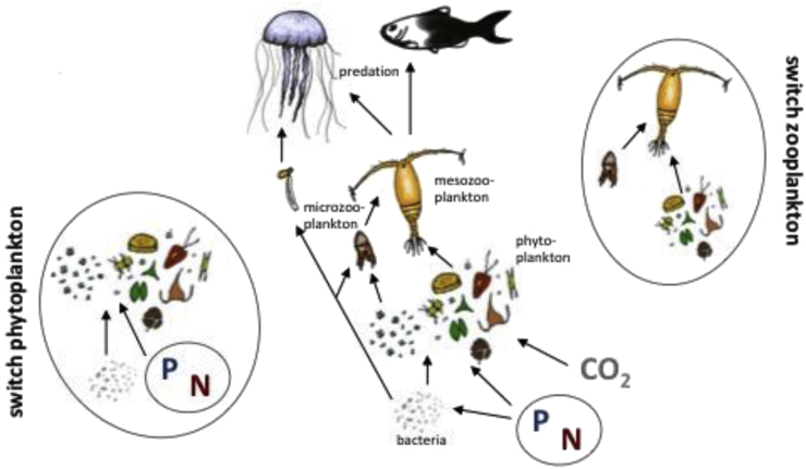 Figure 1