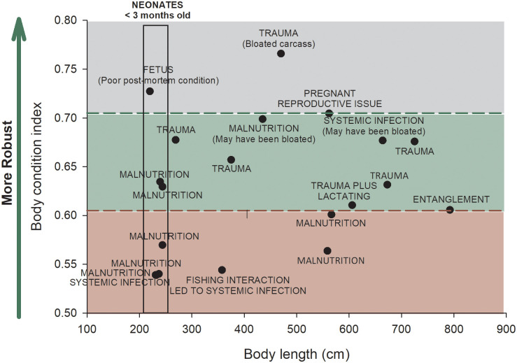 Fig 10