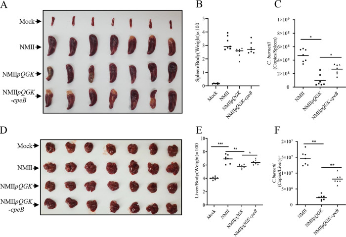 FIG 4