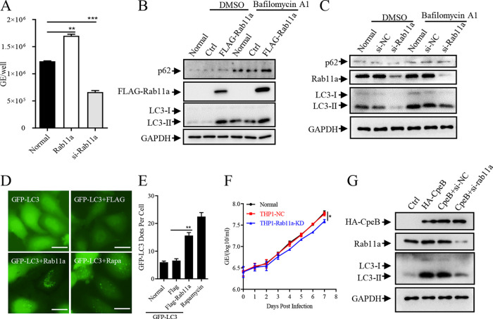 FIG 6