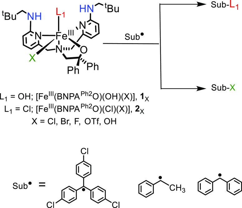 Scheme 2