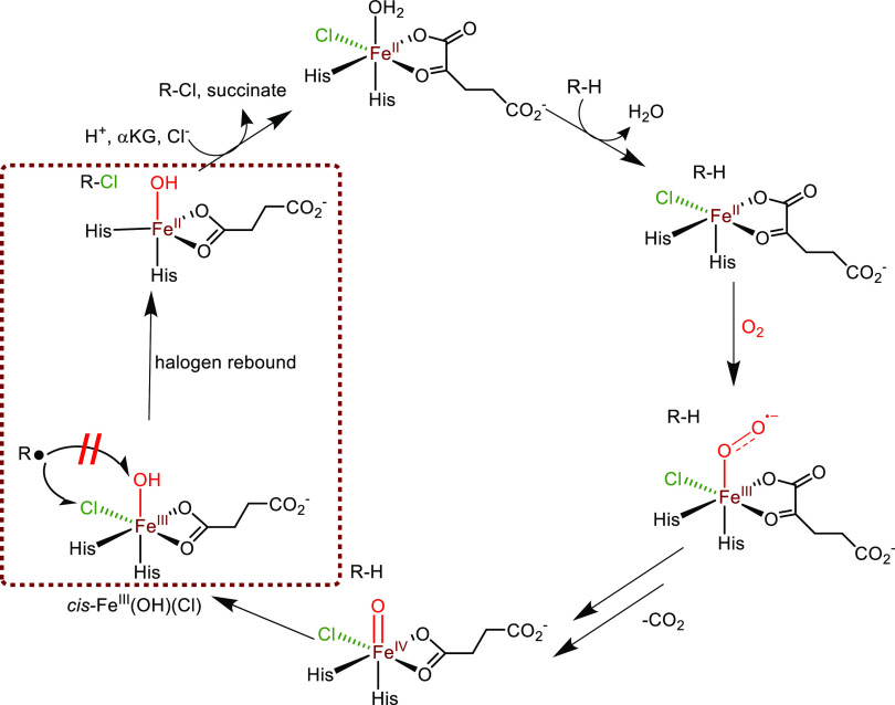 Scheme 1