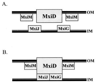 FIG. 6