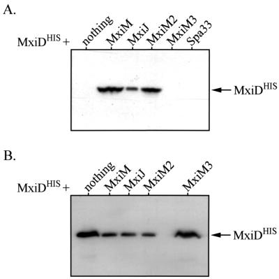 FIG. 1