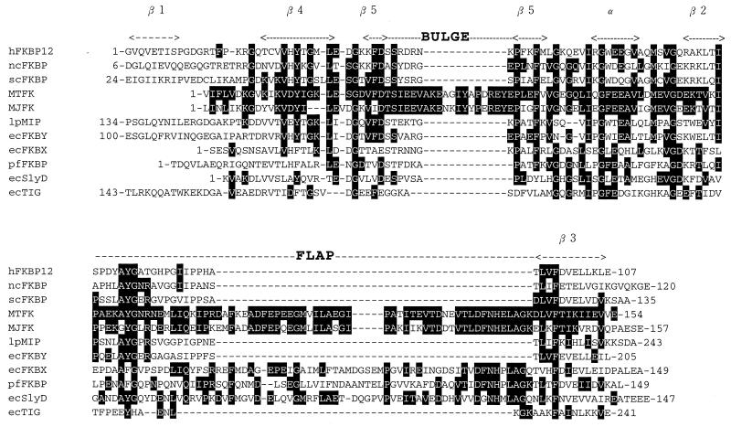 FIG. 5